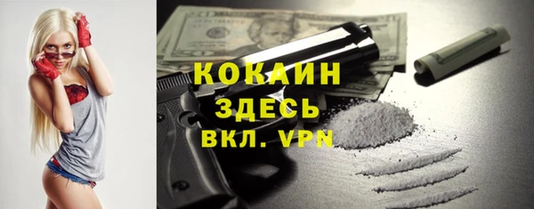 сатива Богородицк