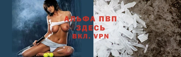 сатива Богородицк