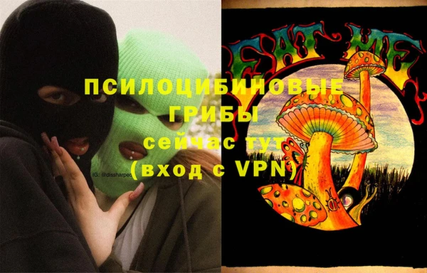 сатива Богородицк