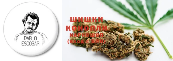 тгк Богородск