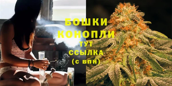 сатива Богородицк