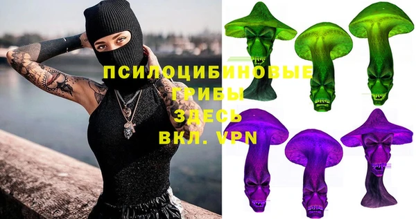тгк Богородск